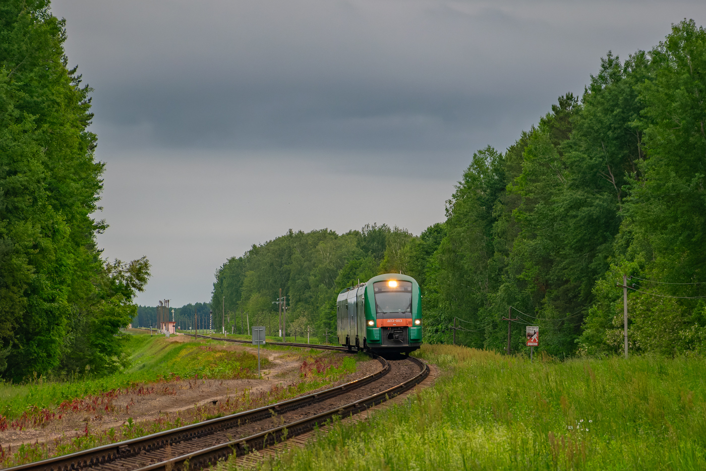 ДП3-003