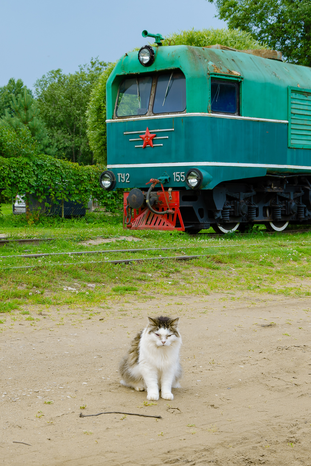 Transport and animals