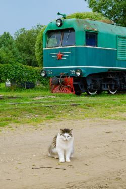 974 КБ