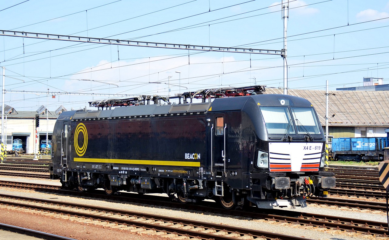 X4 E - 619