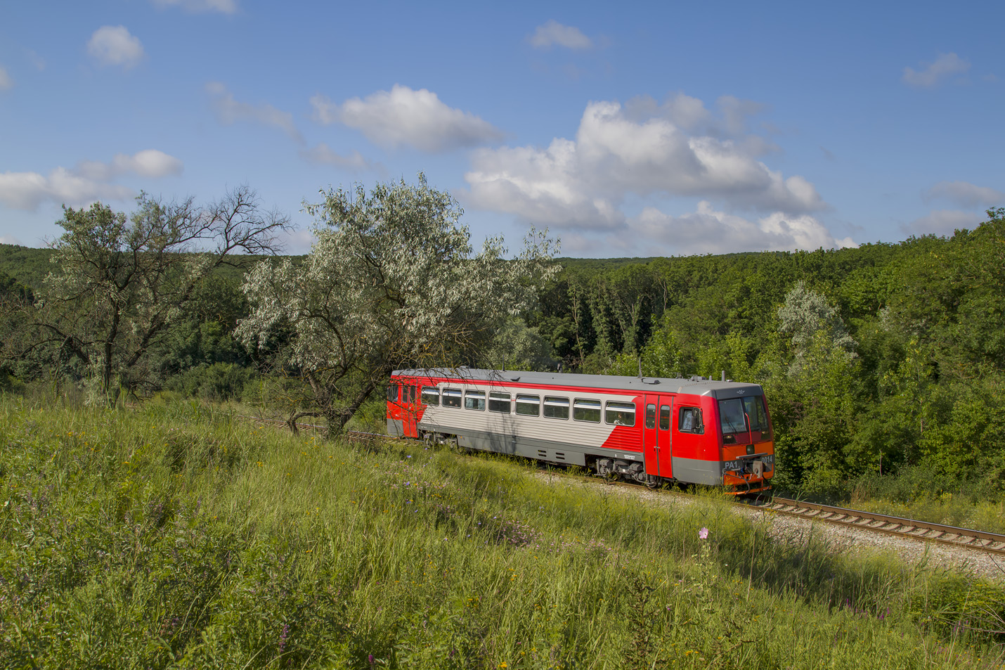РА1-0014