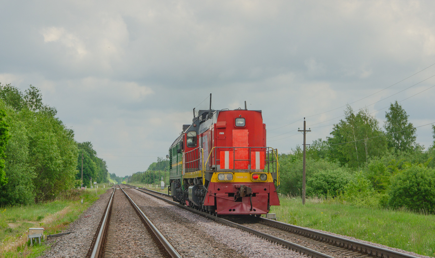 ТЭМ18ДМ-265