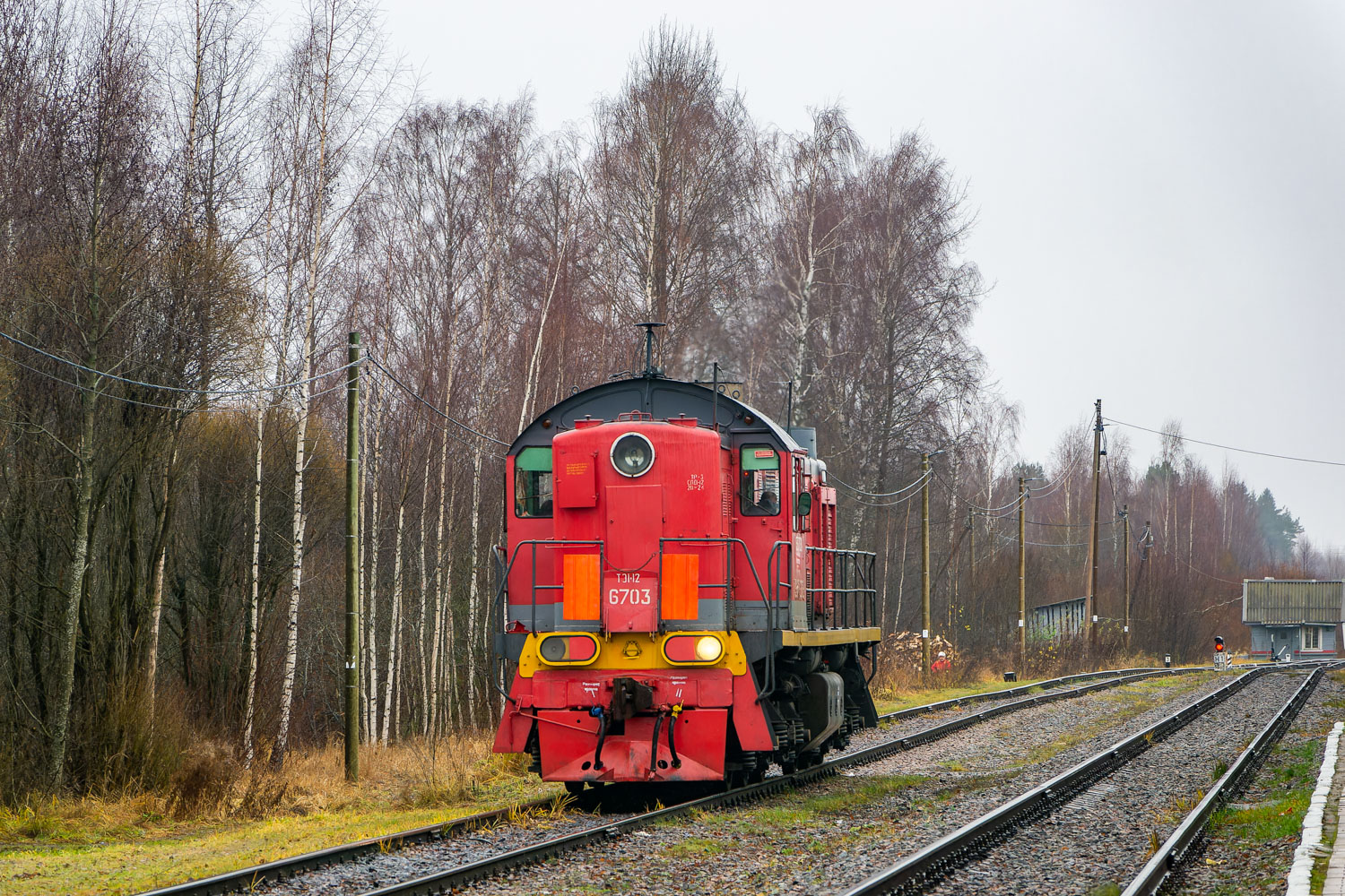 ТЭМ2-6703