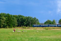 951 КБ