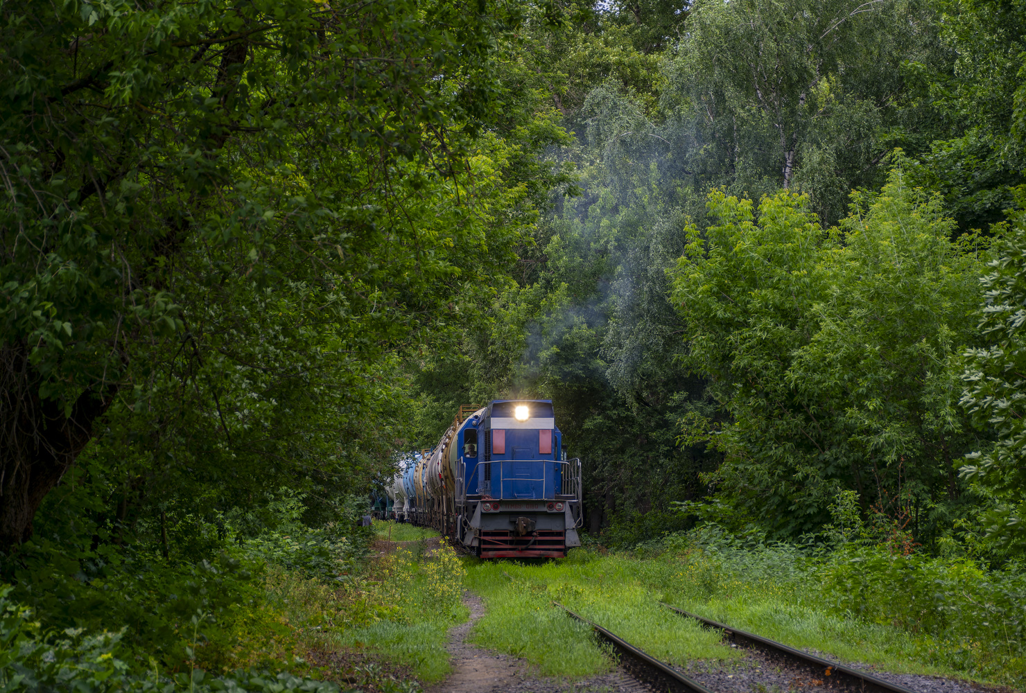 ТГМ6В-0180