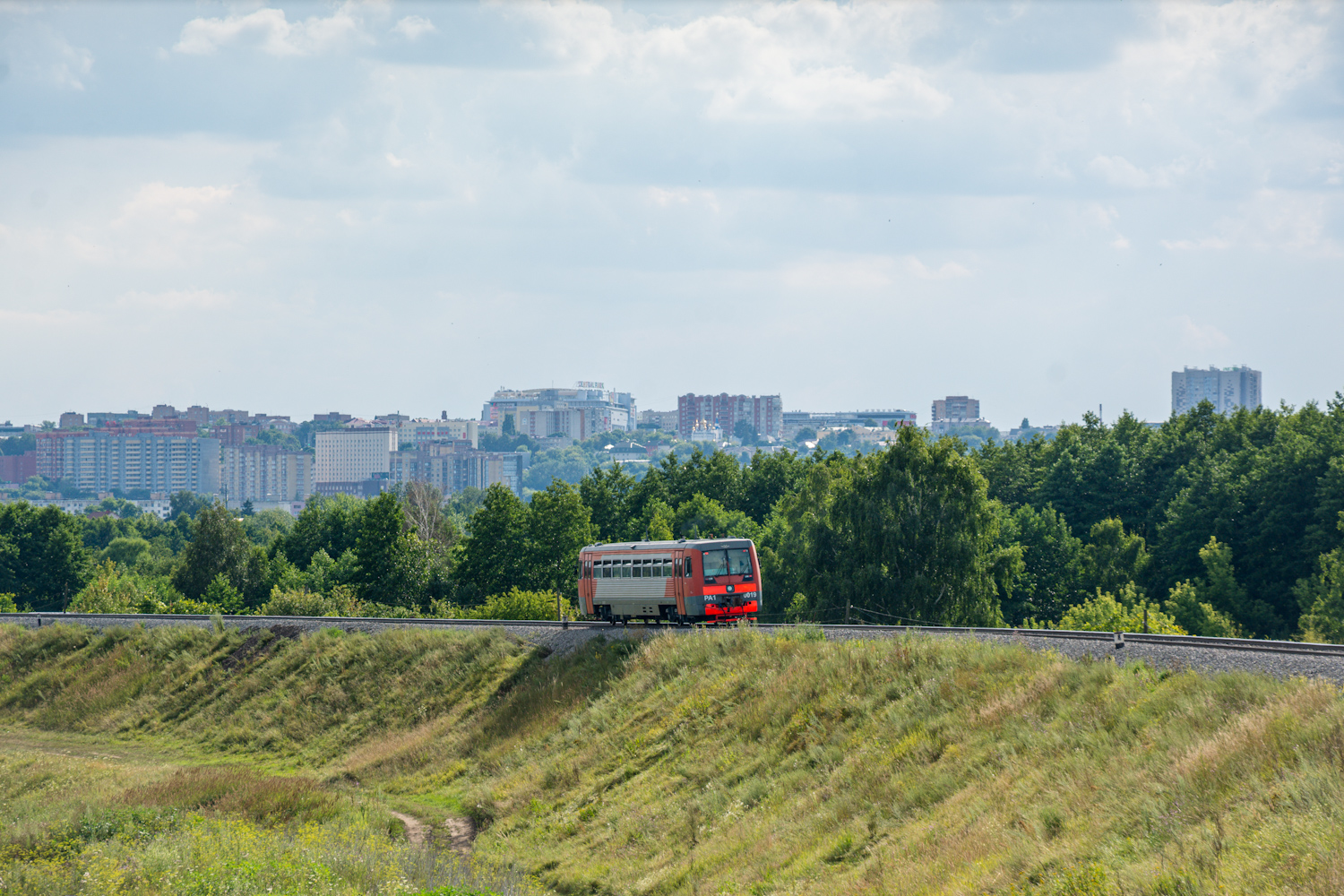 РА1-0019