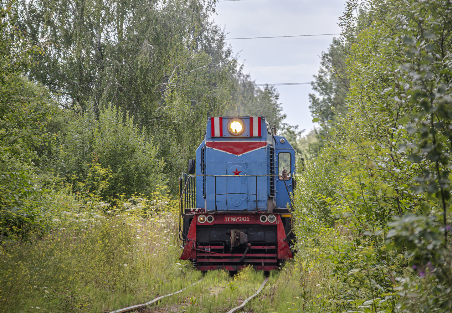ТГМ6А-2421