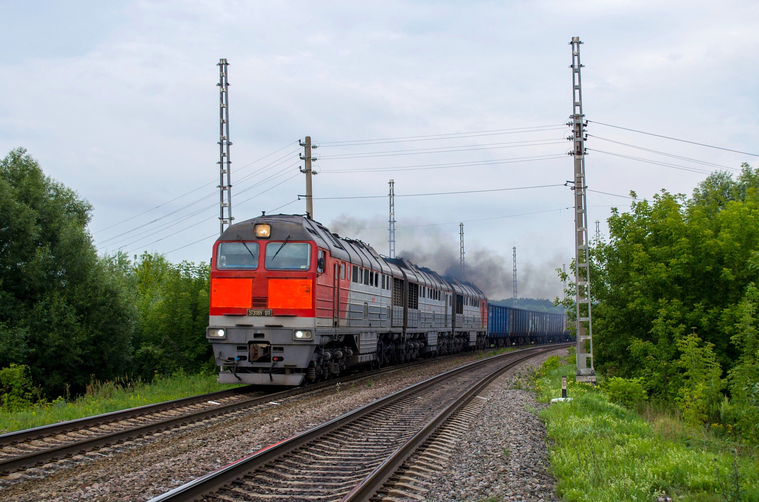 3ТЭ116У-011