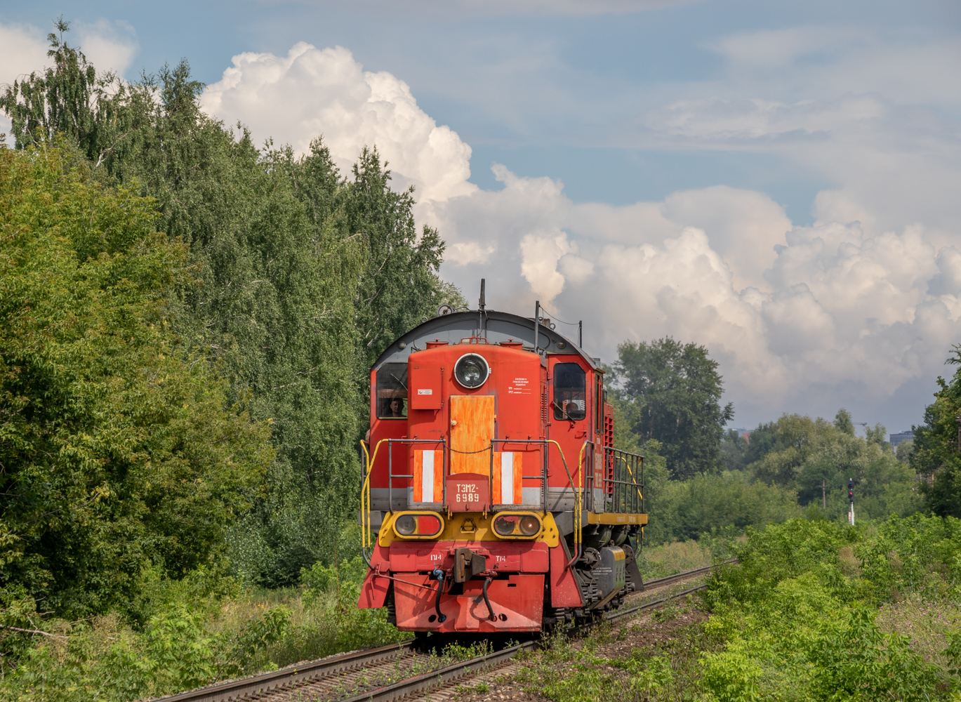 ТЭМ2-6989