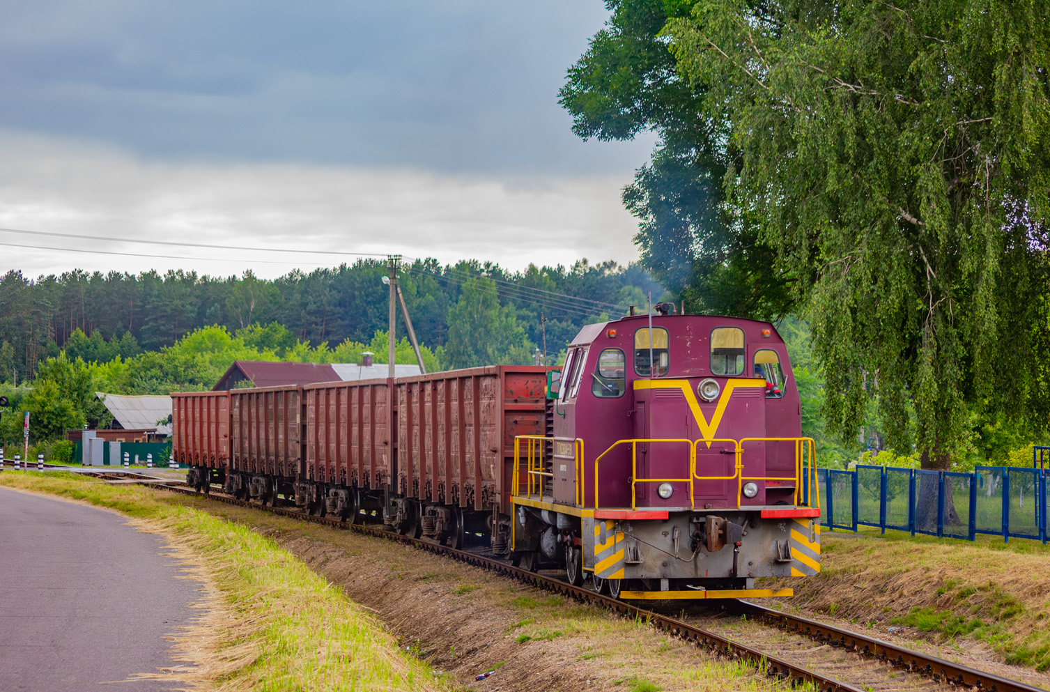 ТГМ23Д44-519