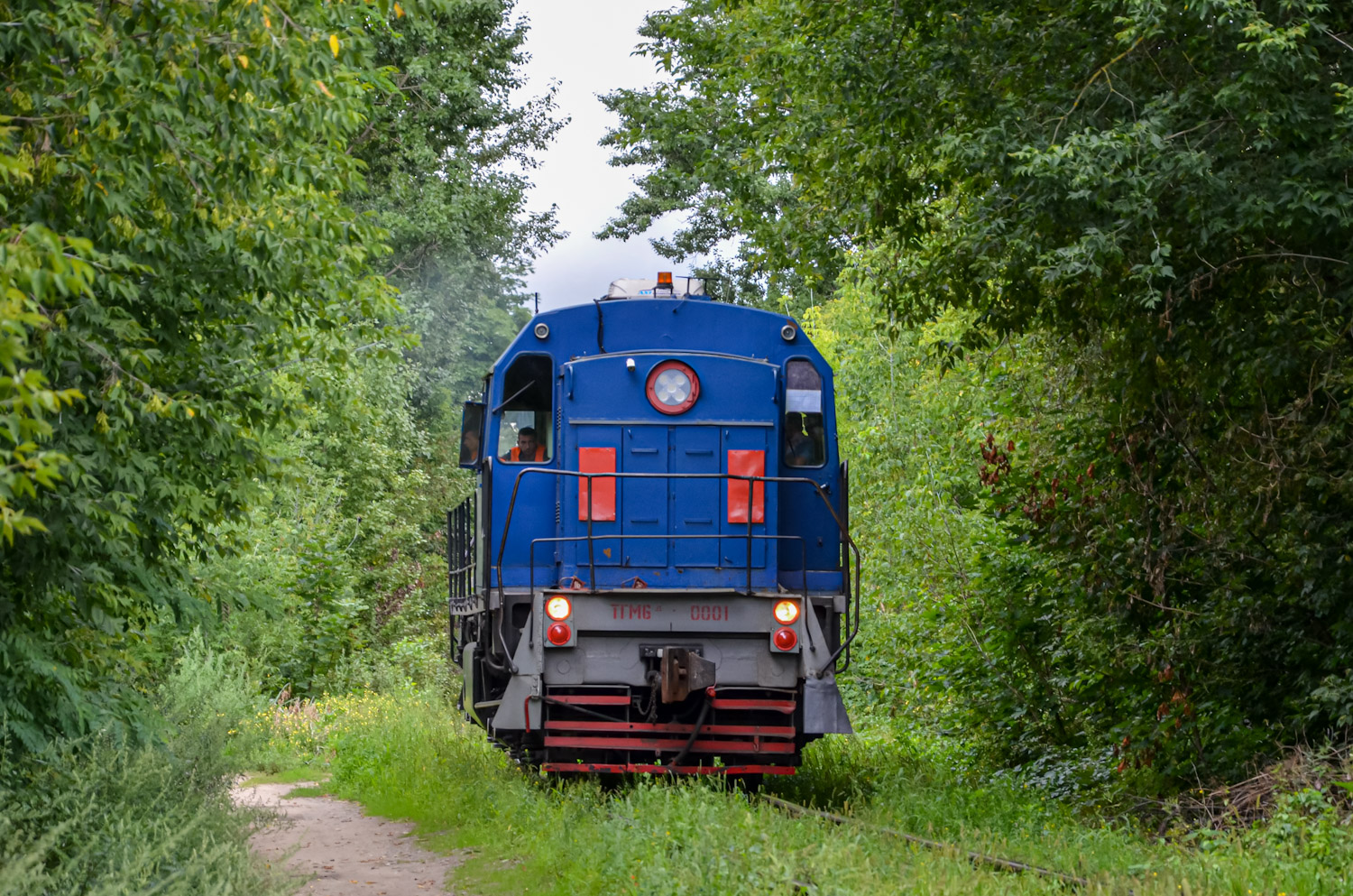 ТГМ6Д-0001