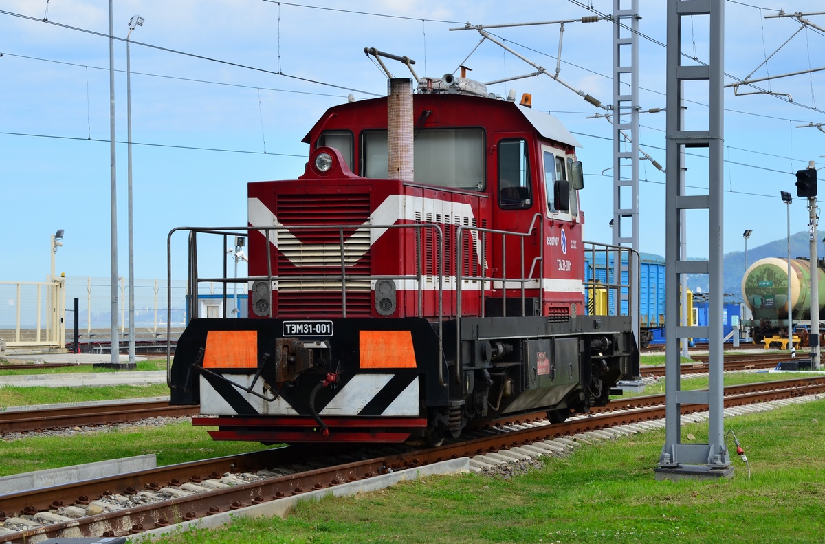 ТЭМ31-001