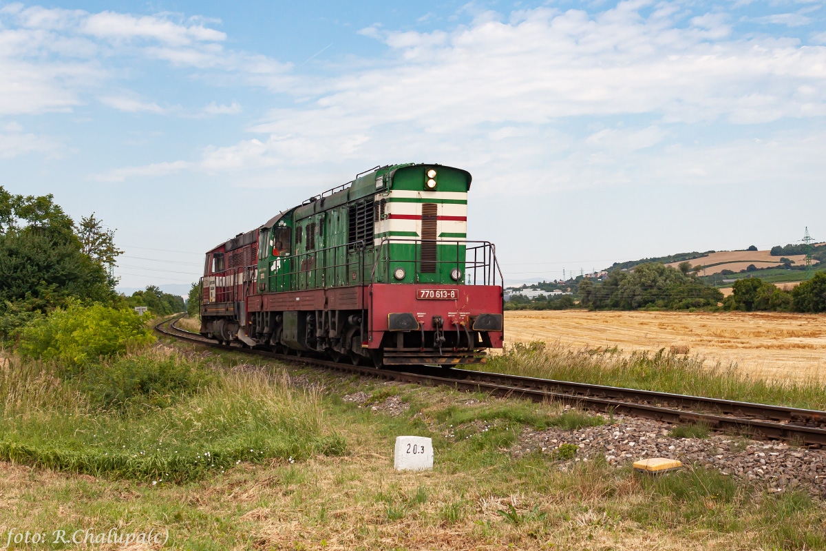 770 613-8