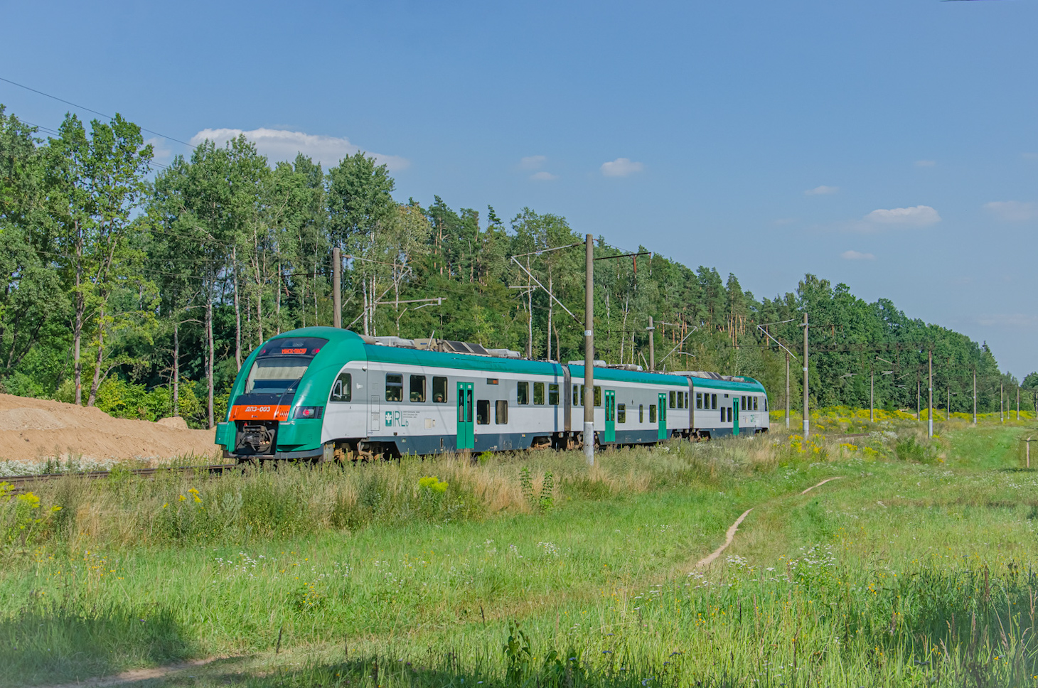 ДП3-003