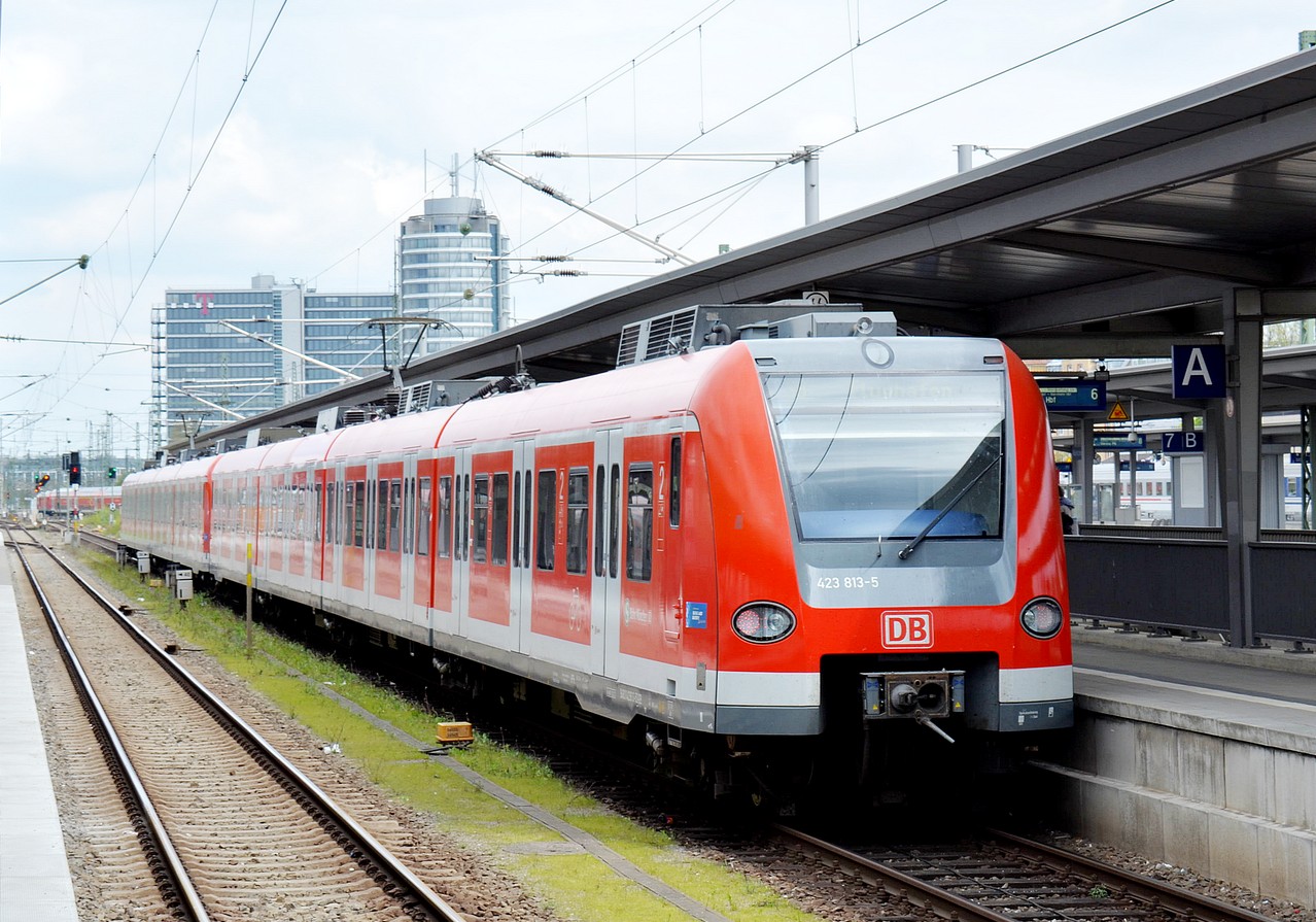 423 313