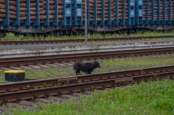889 КБ