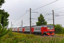 891 КБ