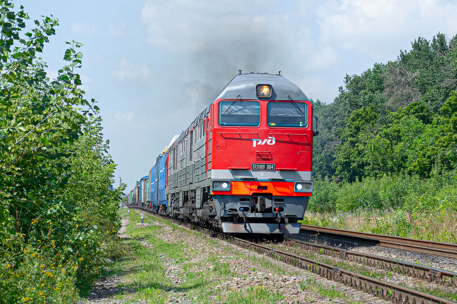 3ТЭ116У-004