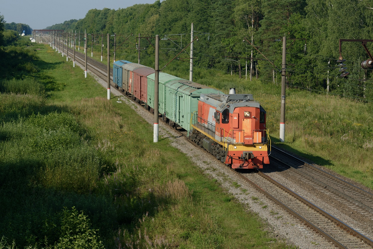 ТЭМ18ДМ-2239