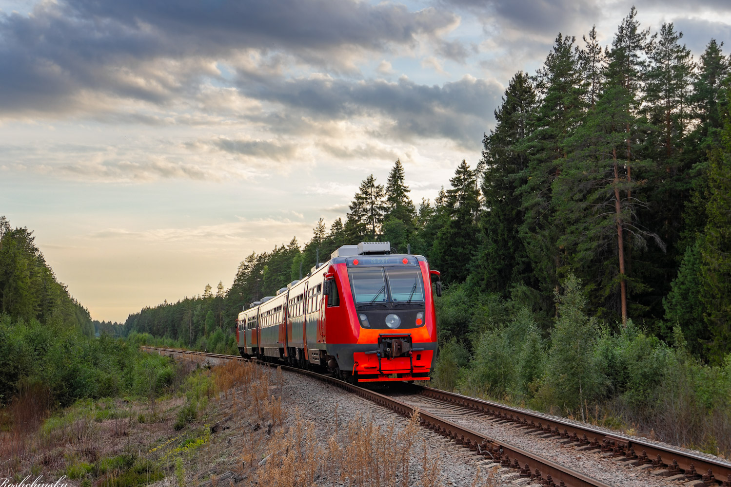 РА2-101