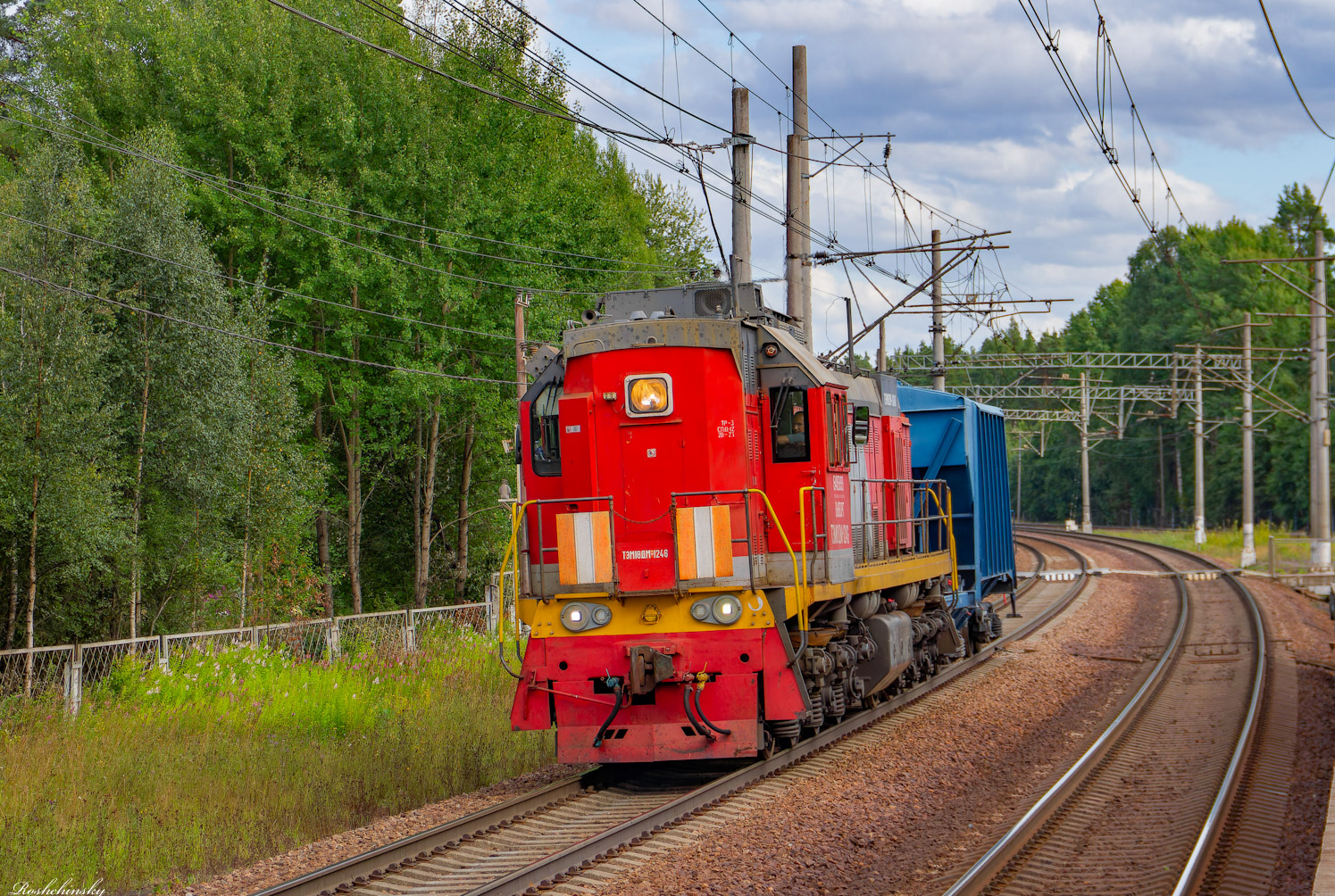 ТЭМ18ДМ-1246