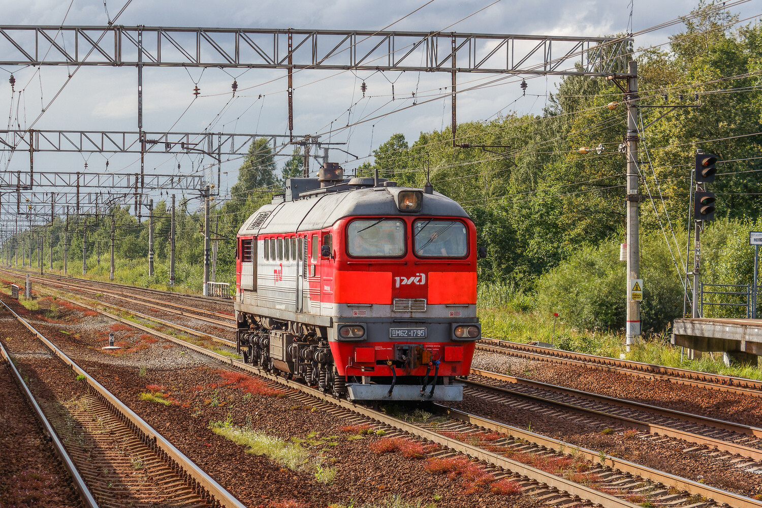 ДМ62-1795