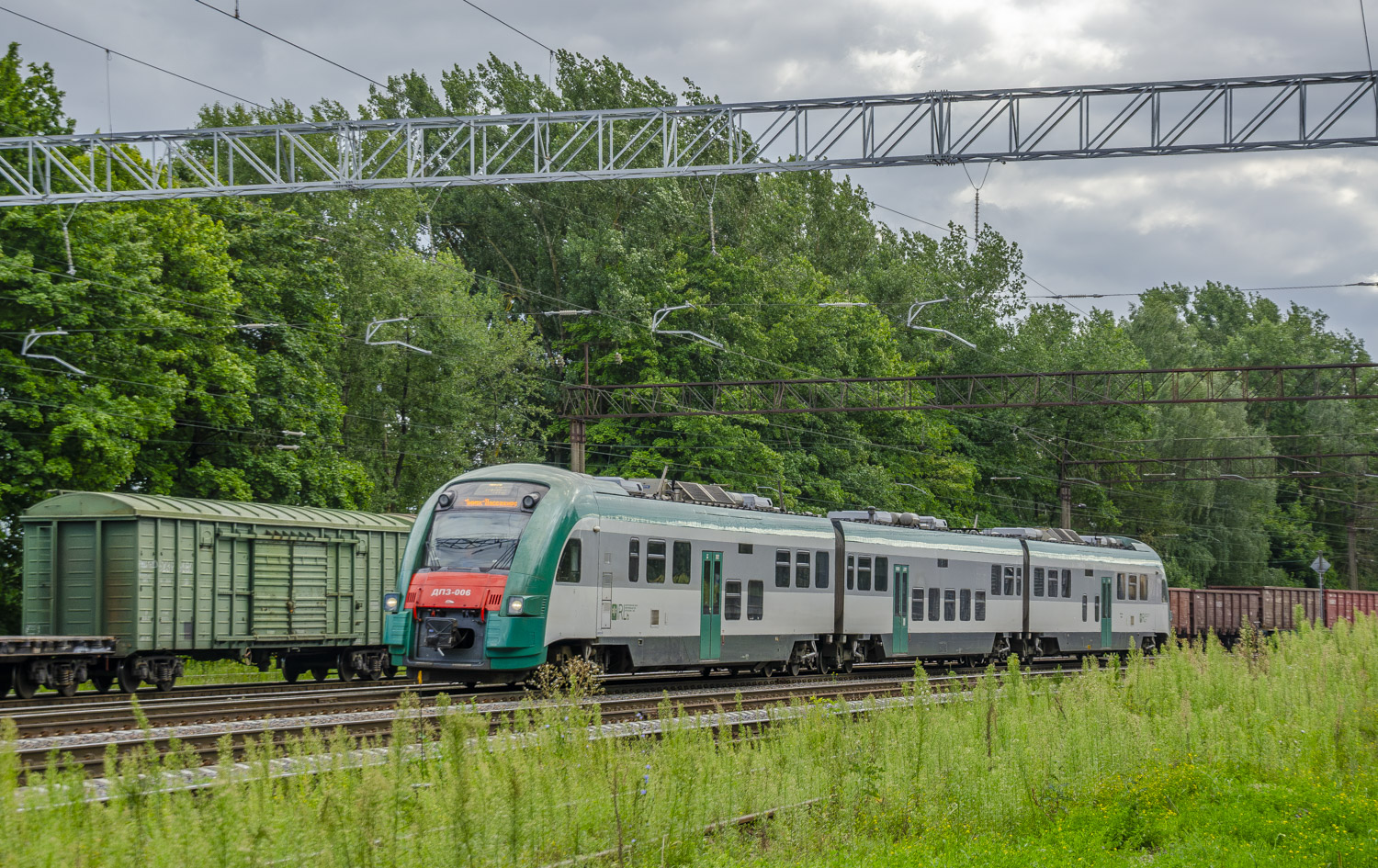 ДП3-006