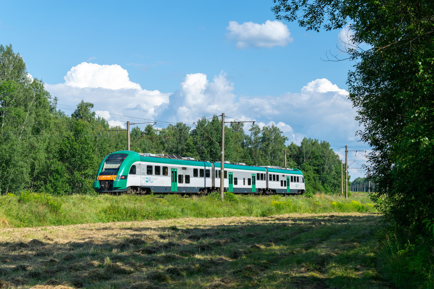 ДП3-002
