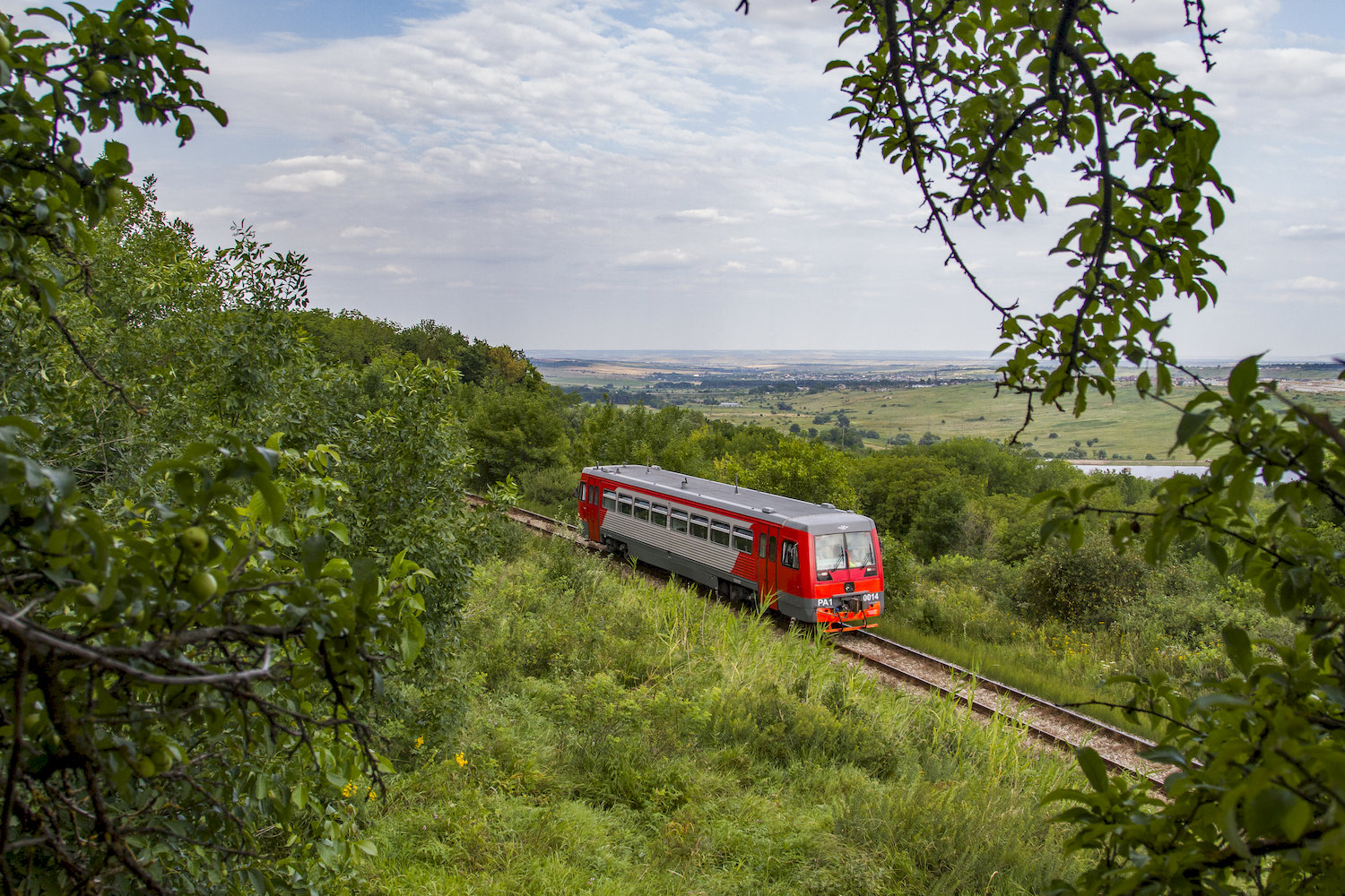 РА1-0014