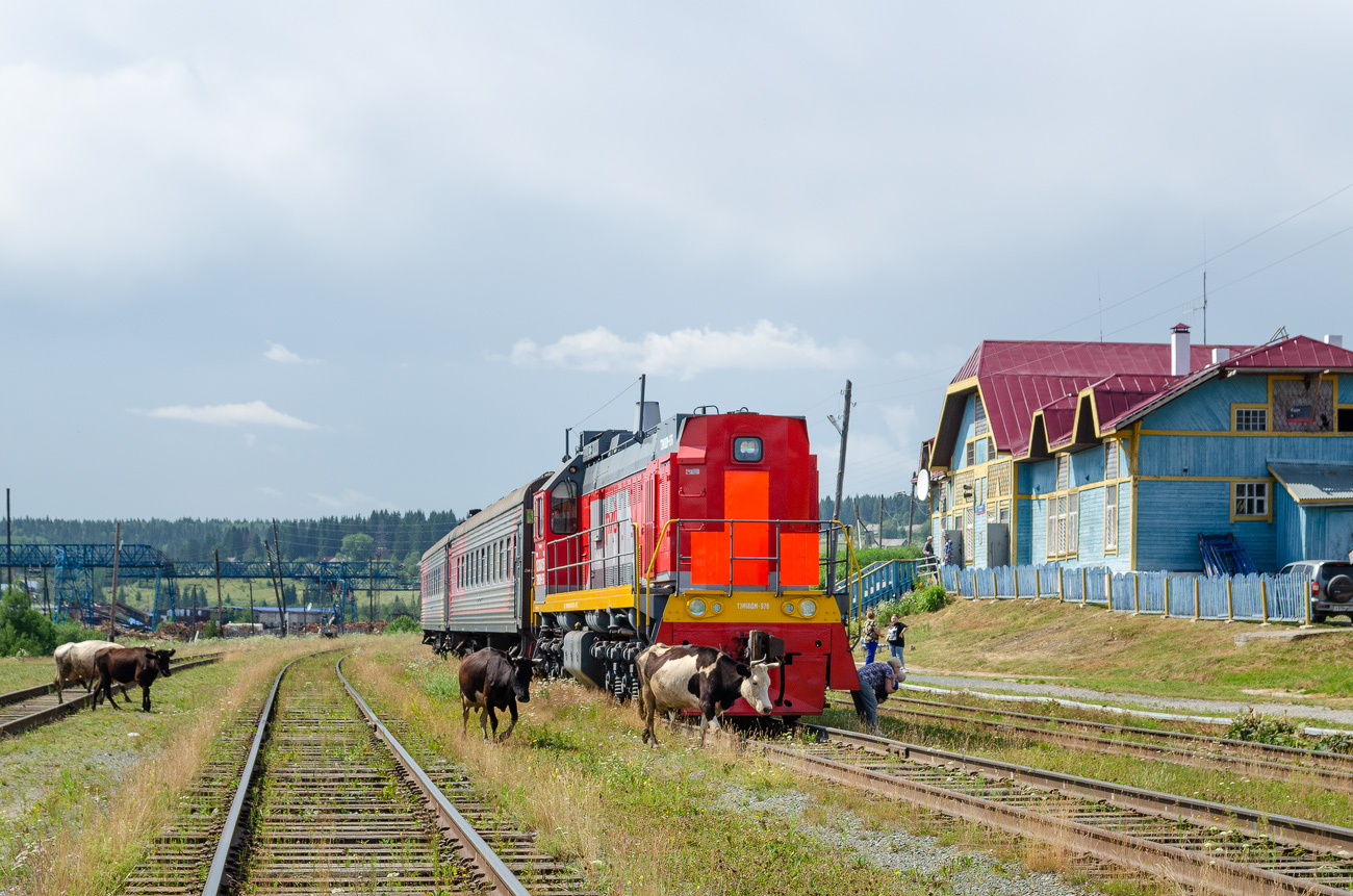 ТЭМ18ДМ-976