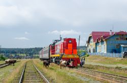 544 КБ