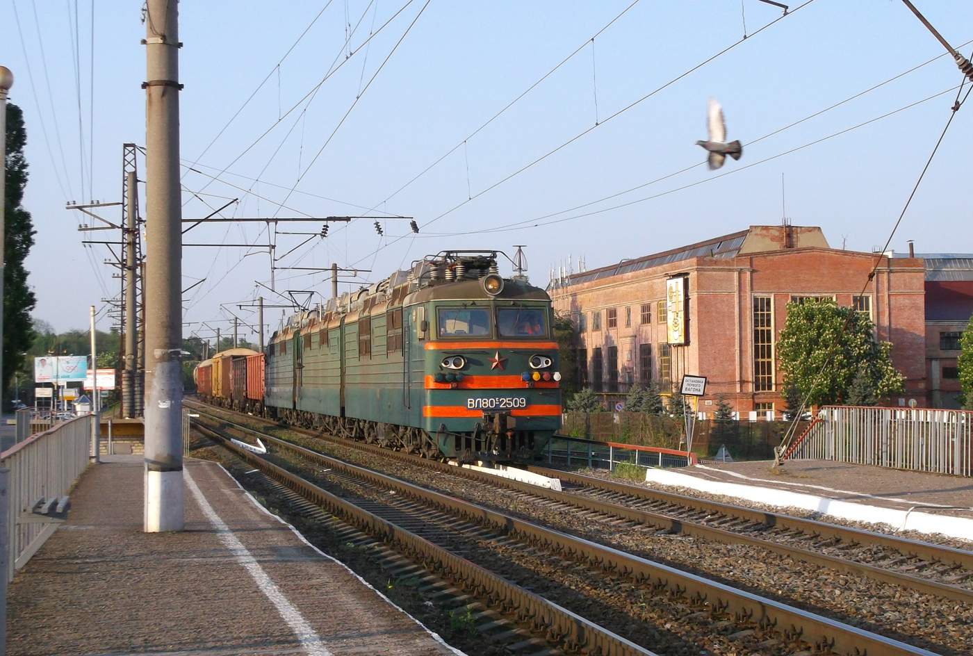 ВЛ80С-2509