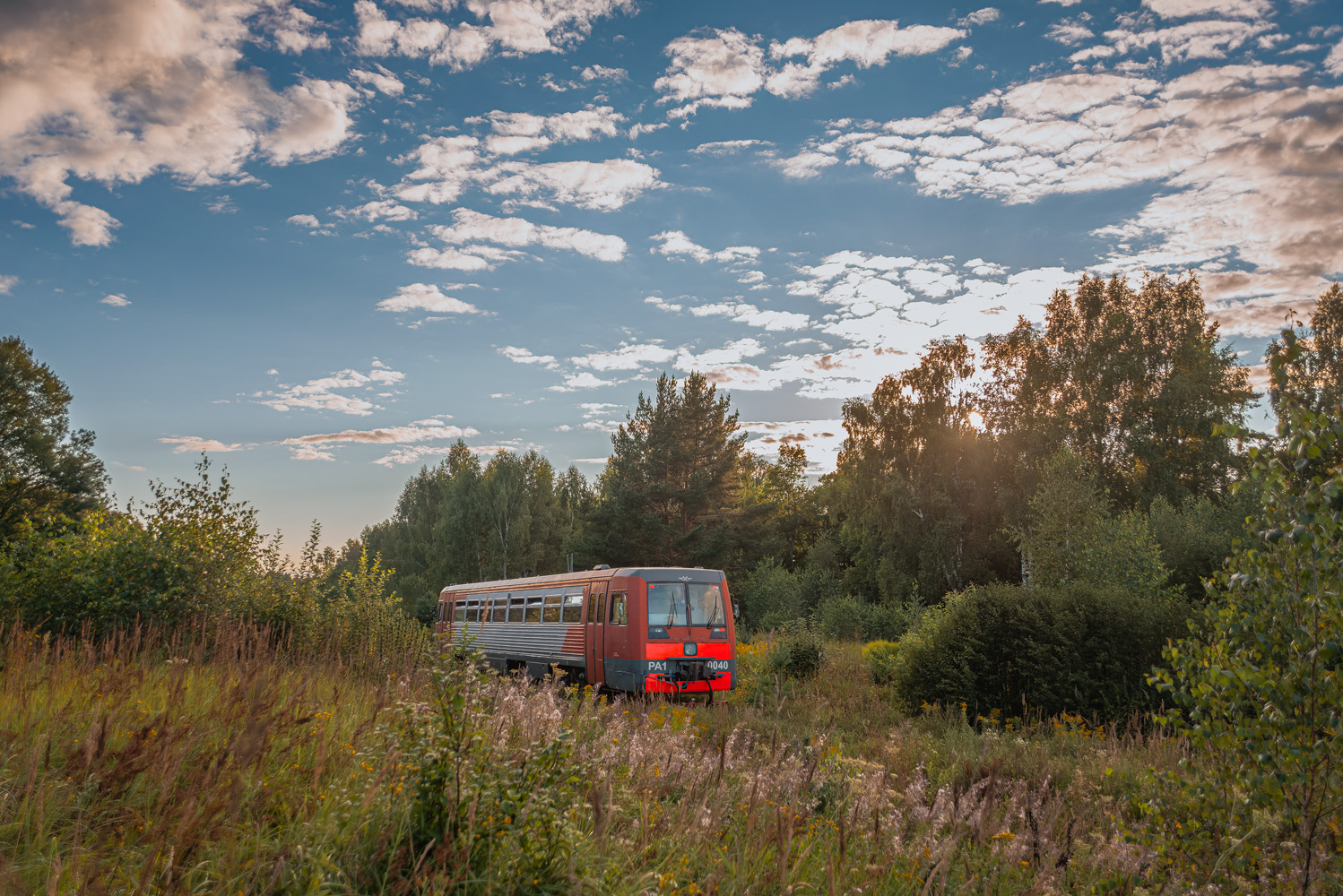 РА1-0040