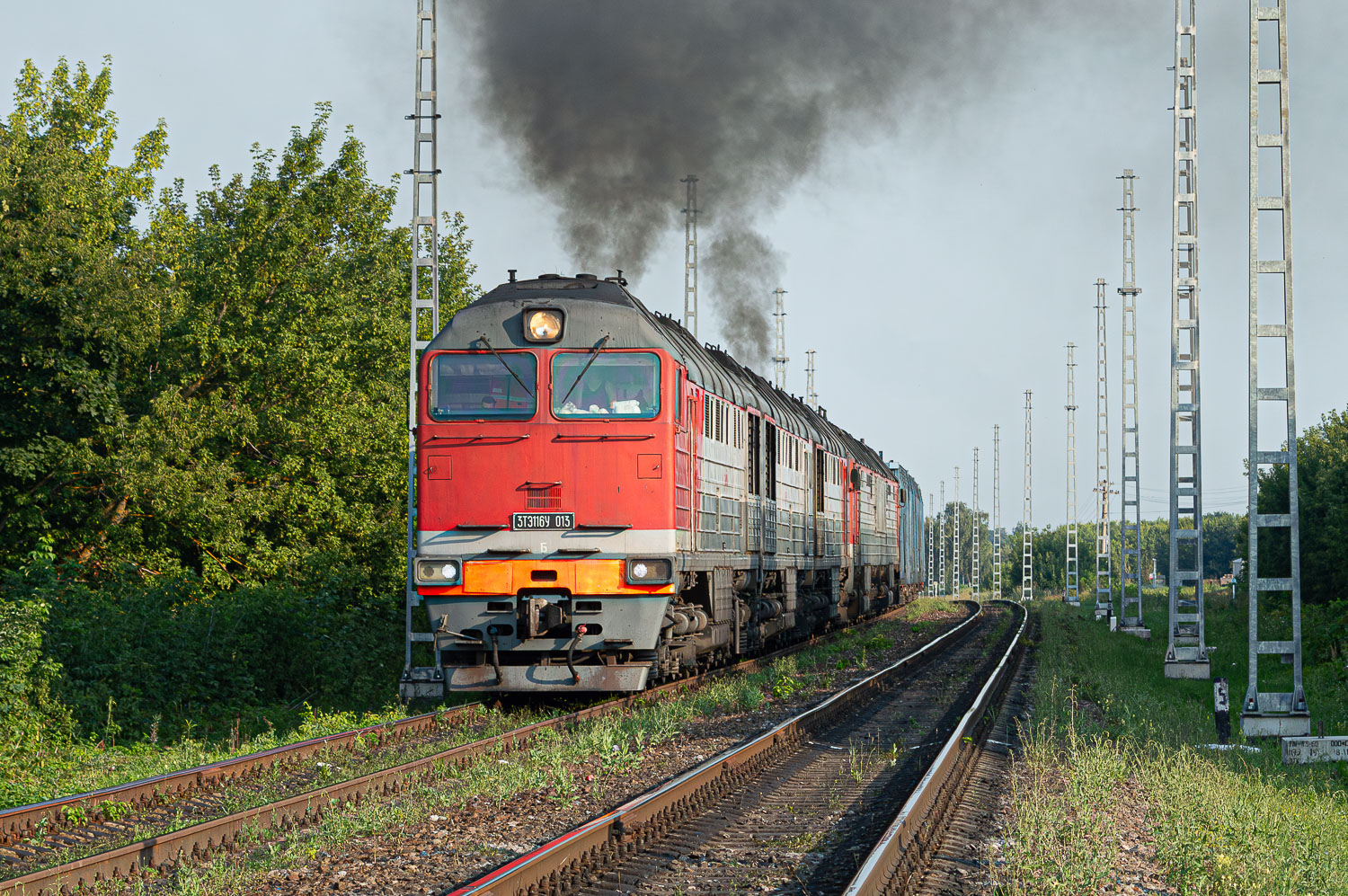 3ТЭ116У-013
