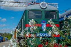 785 КБ