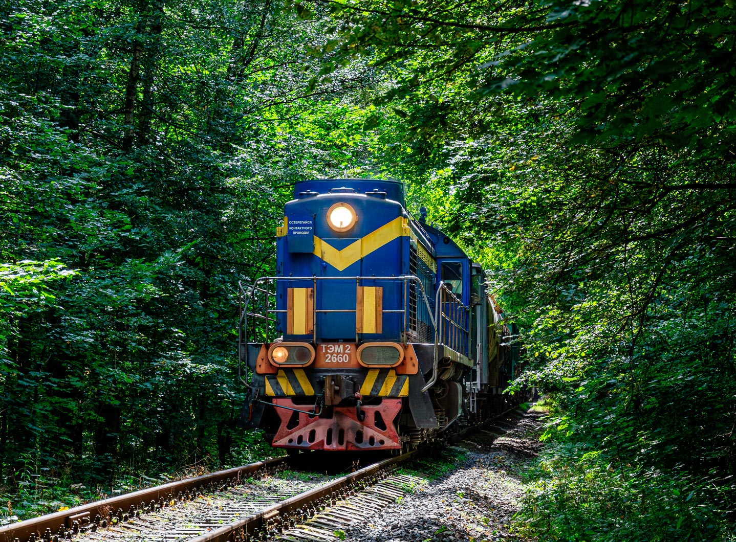 ТЭМ2-2660