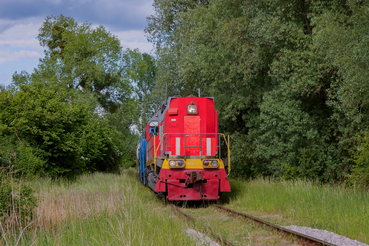 ТЭМ18ДМ-265