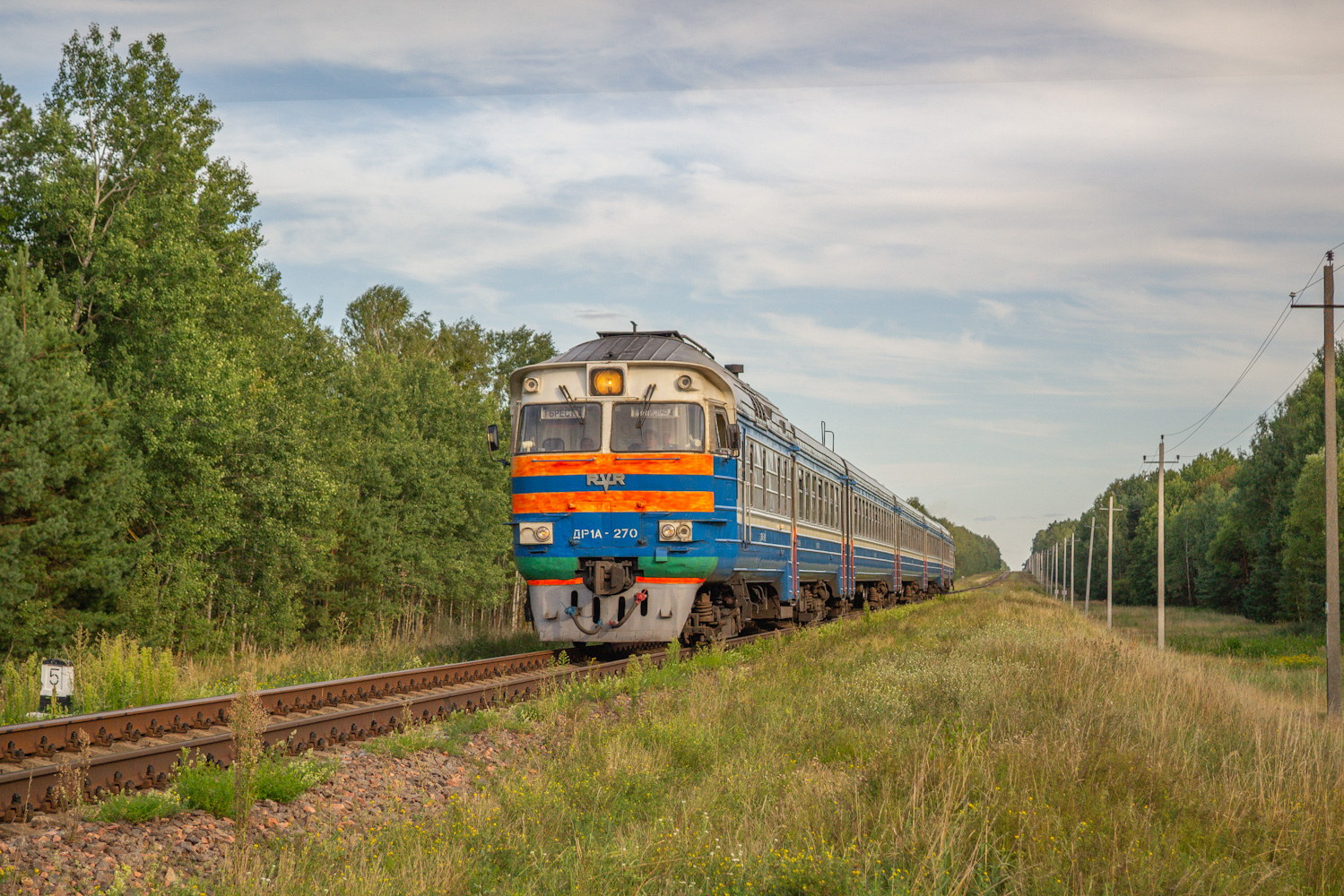 ДР1А-270