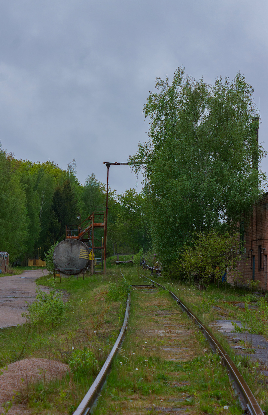 Kaliningrader Eisenbahn &mdash; driveway
