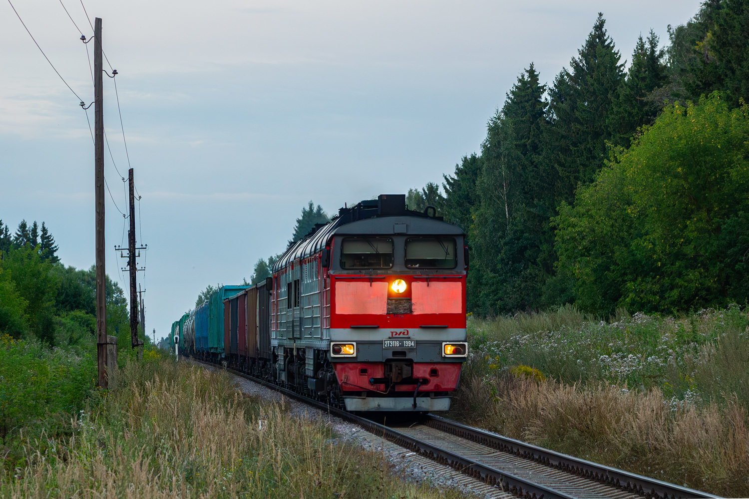 2ТЭ116-1394