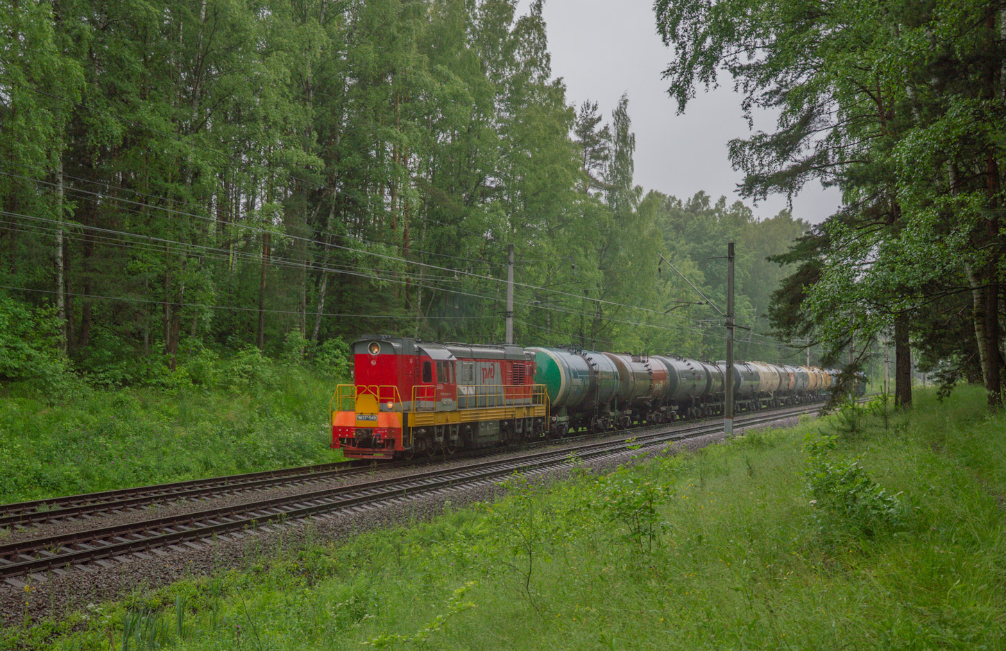 ЧМЭ3Т-5491