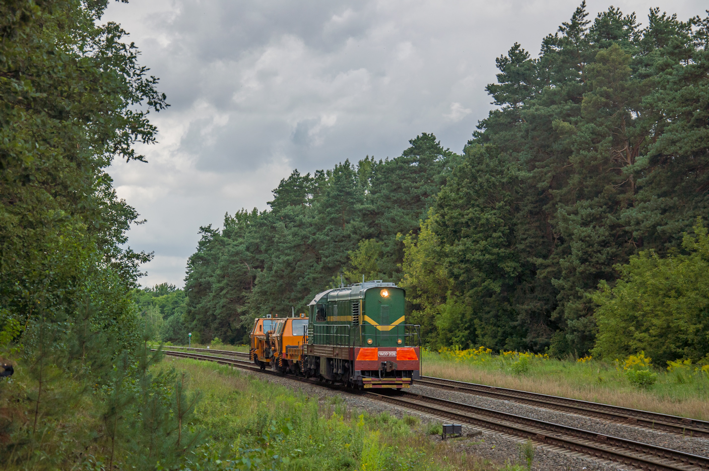 ЧМЭ3-3139