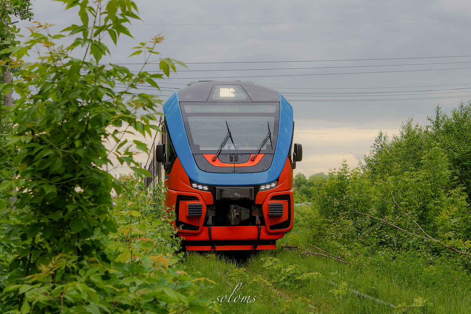 РА3-016; Фотозарисовки (Частные перевозчики)