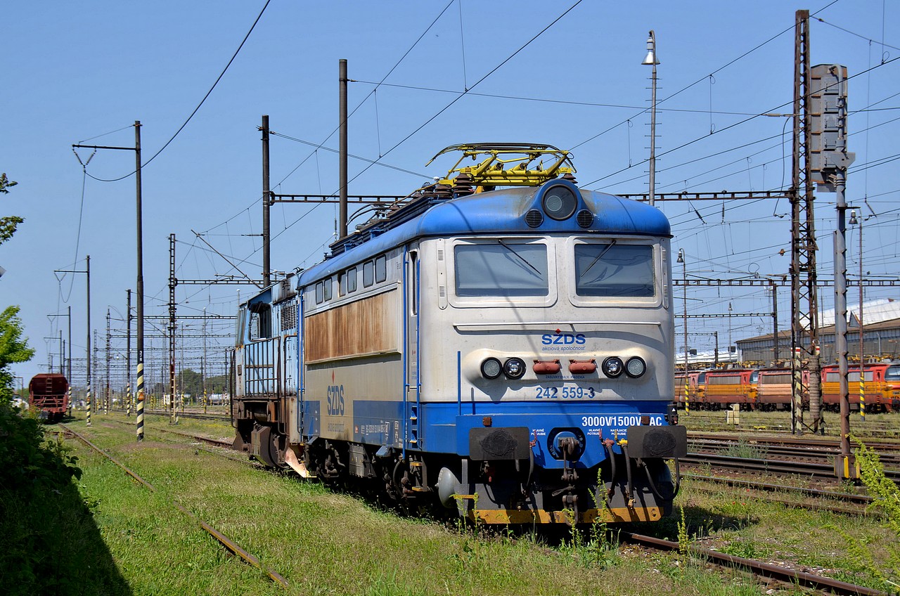 242 559-3
