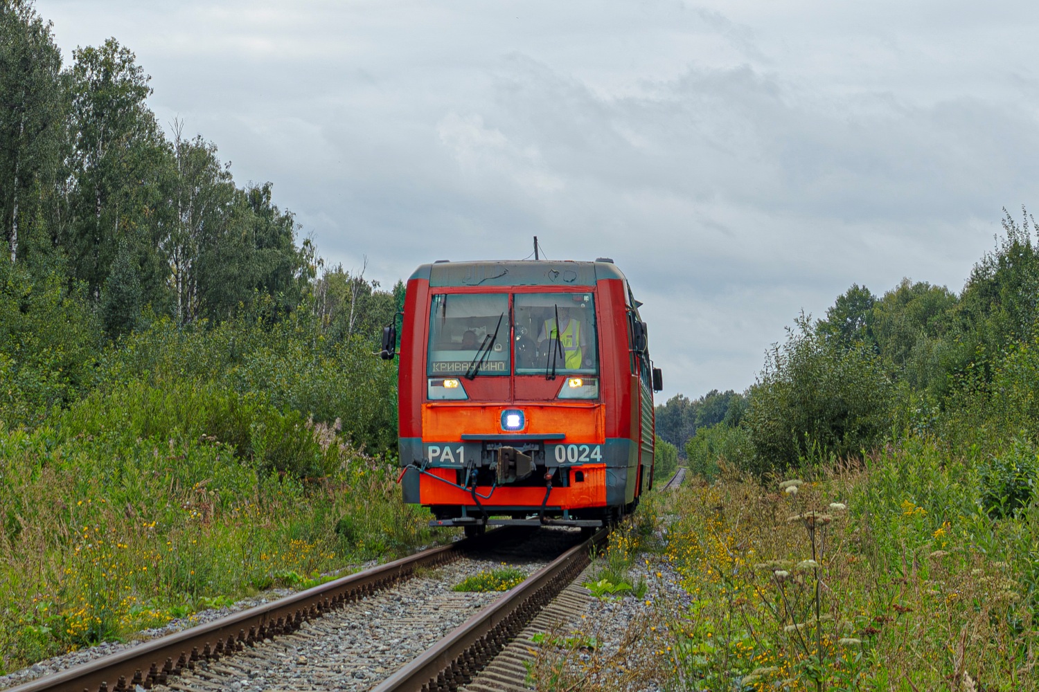 РА1-0024
