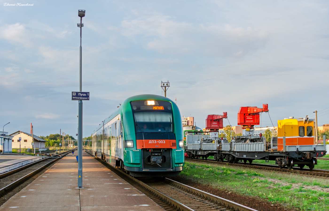 ДП3-003