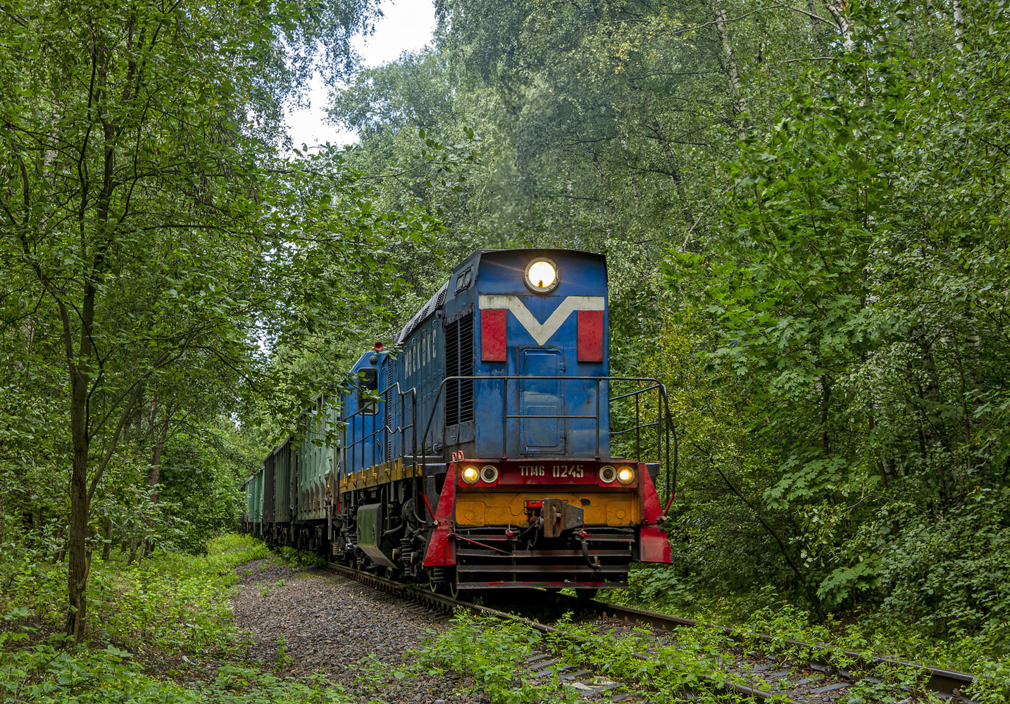 ТГМ6В-0245