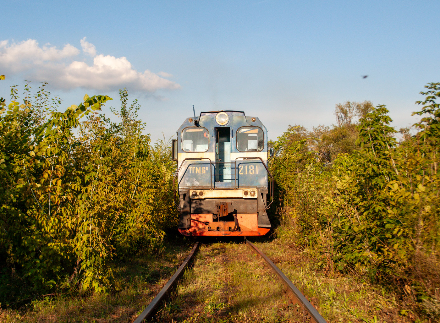 ТГМ6А-2181