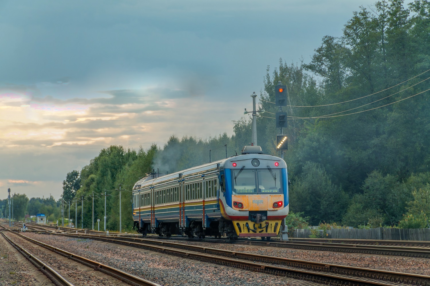 ДР1Б-511