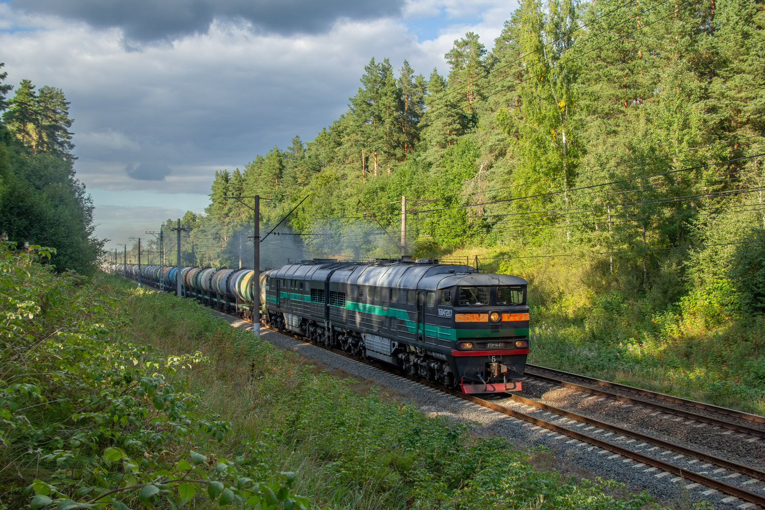 2ТЭ116-831